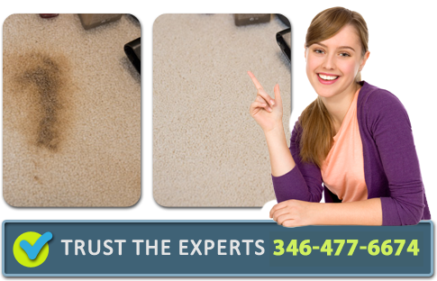 Professional Carpet Cleaners